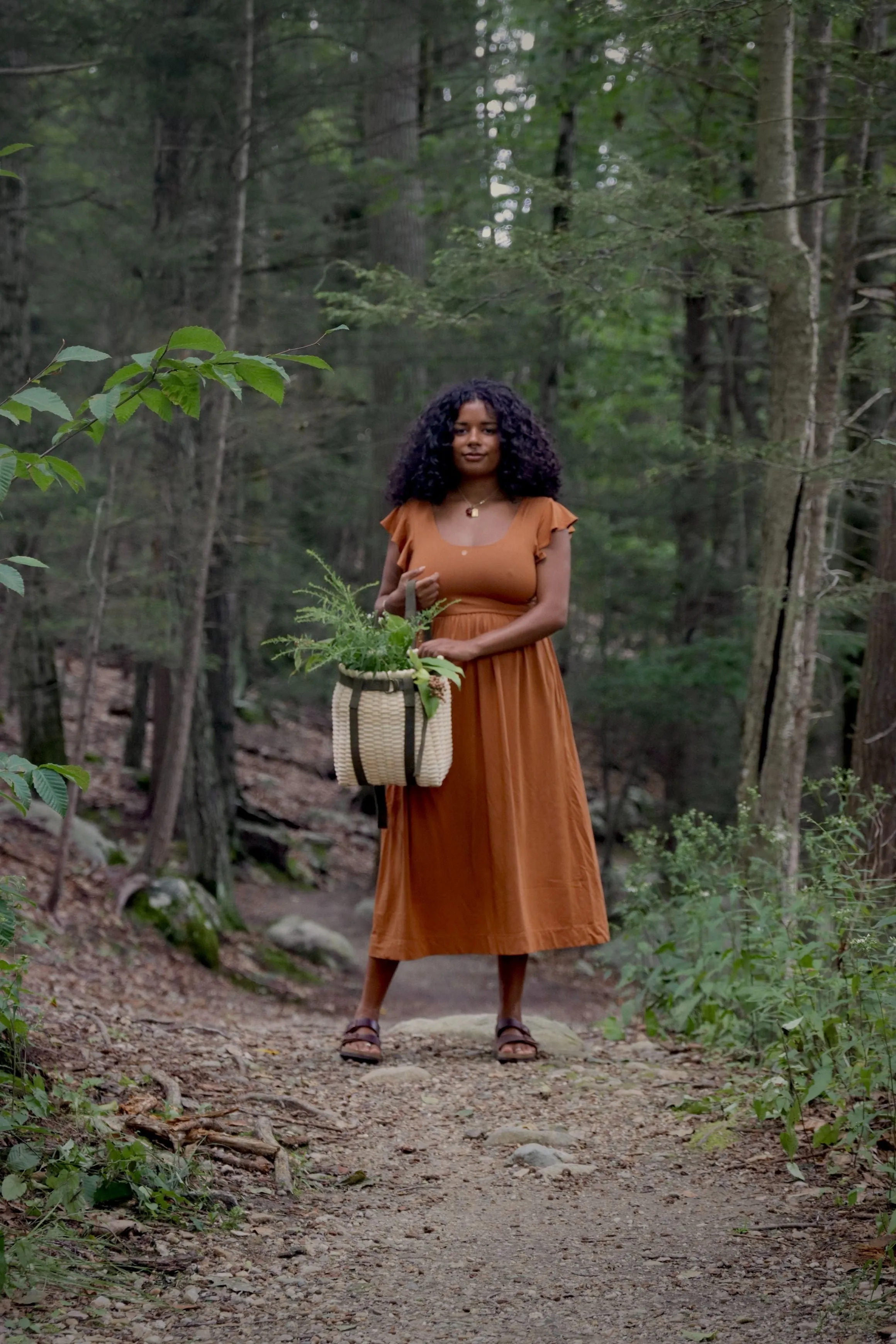 Acorn Midi Dress