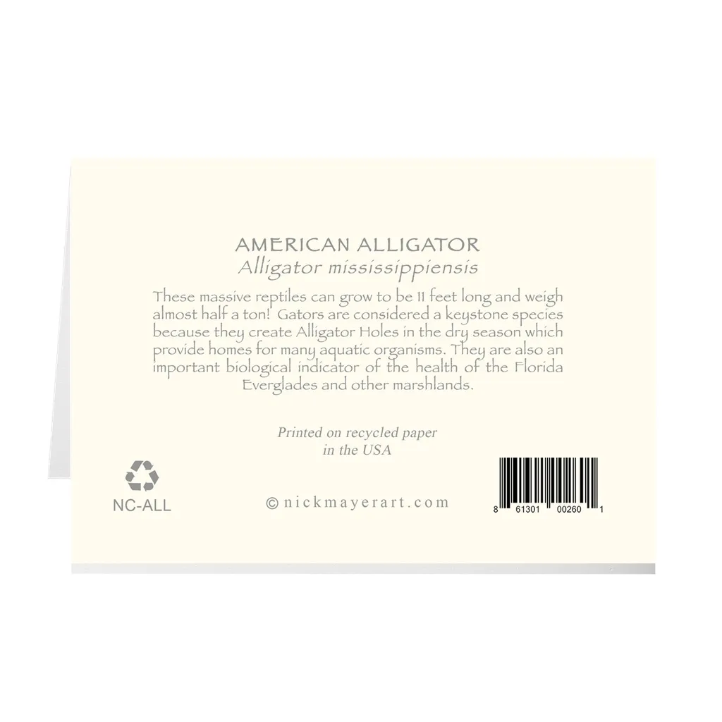 American Alligator Notecards
