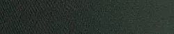 Cairo Dress Pant Yoga Pants (Scarab)