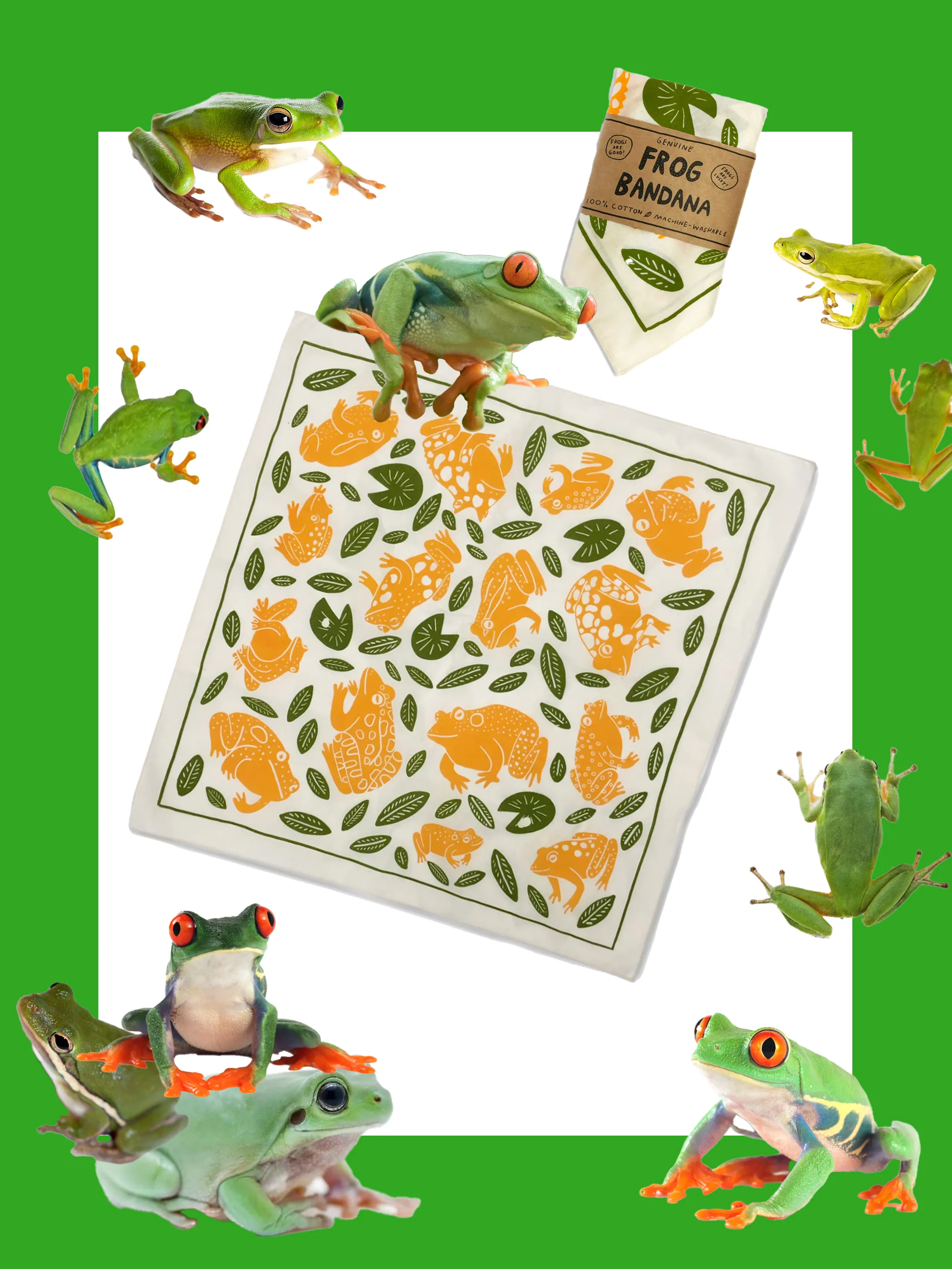 Frog Bandana