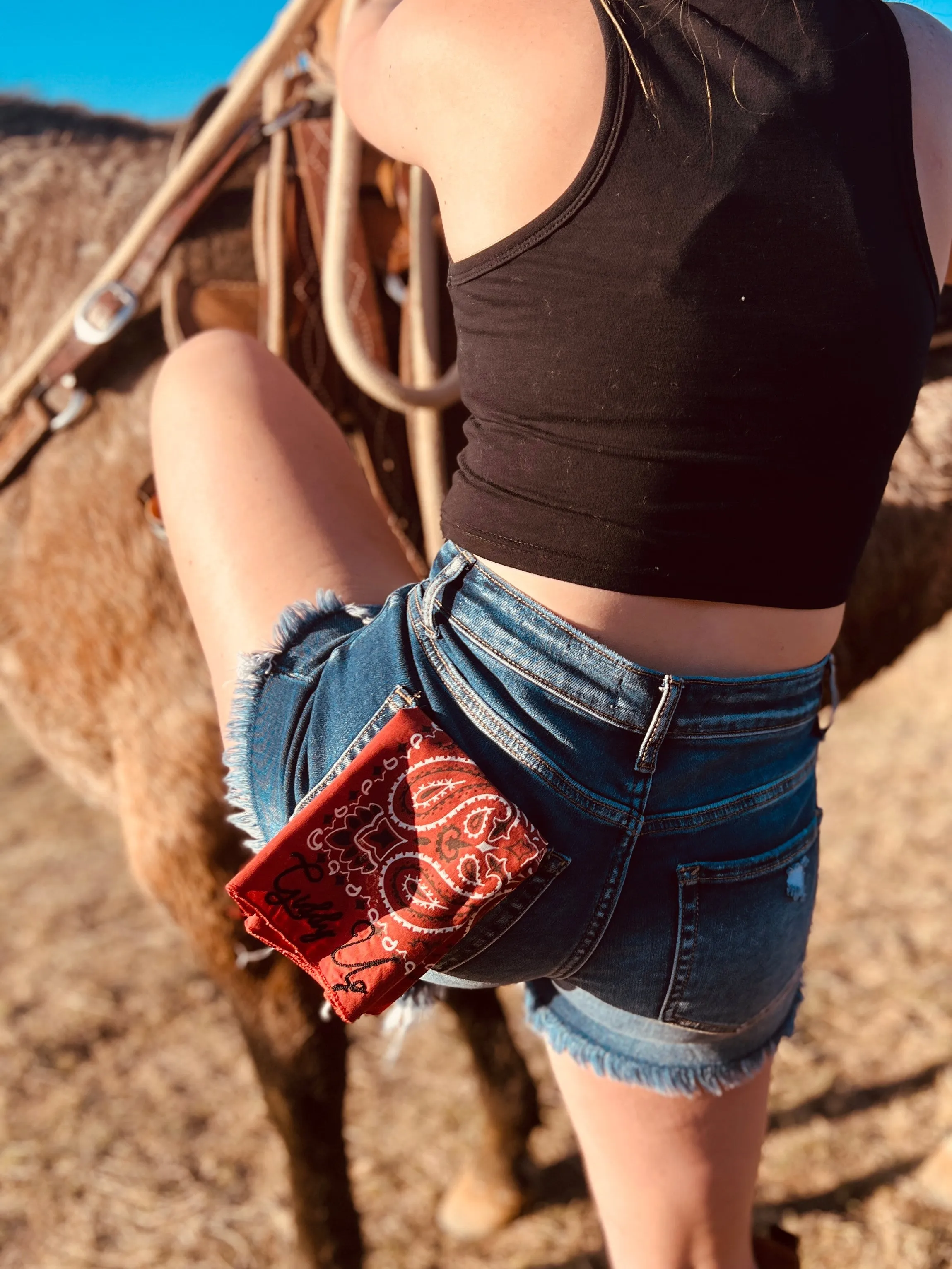 Giddy Up Embroidered Bandana