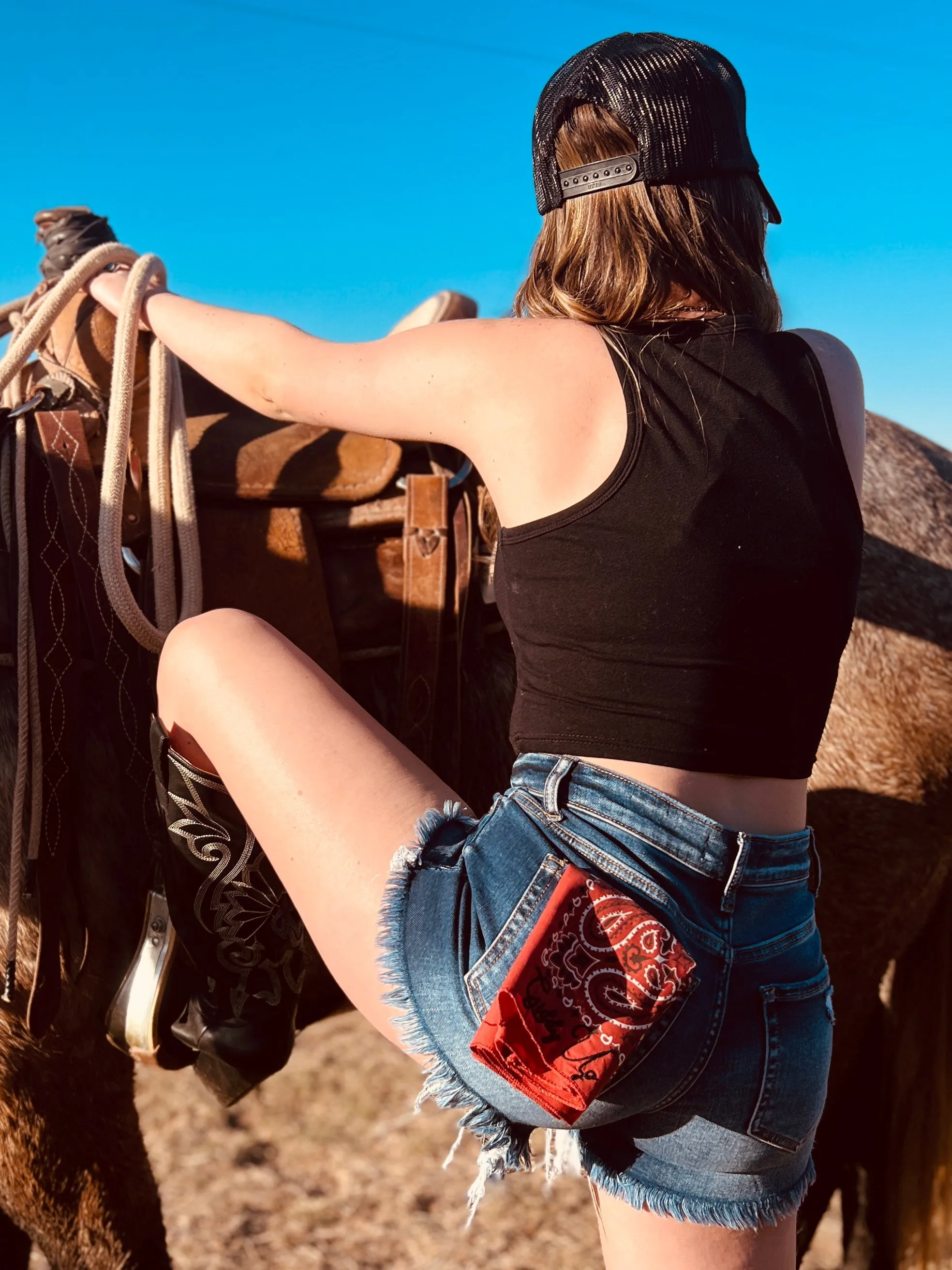 Giddy Up Embroidered Bandana