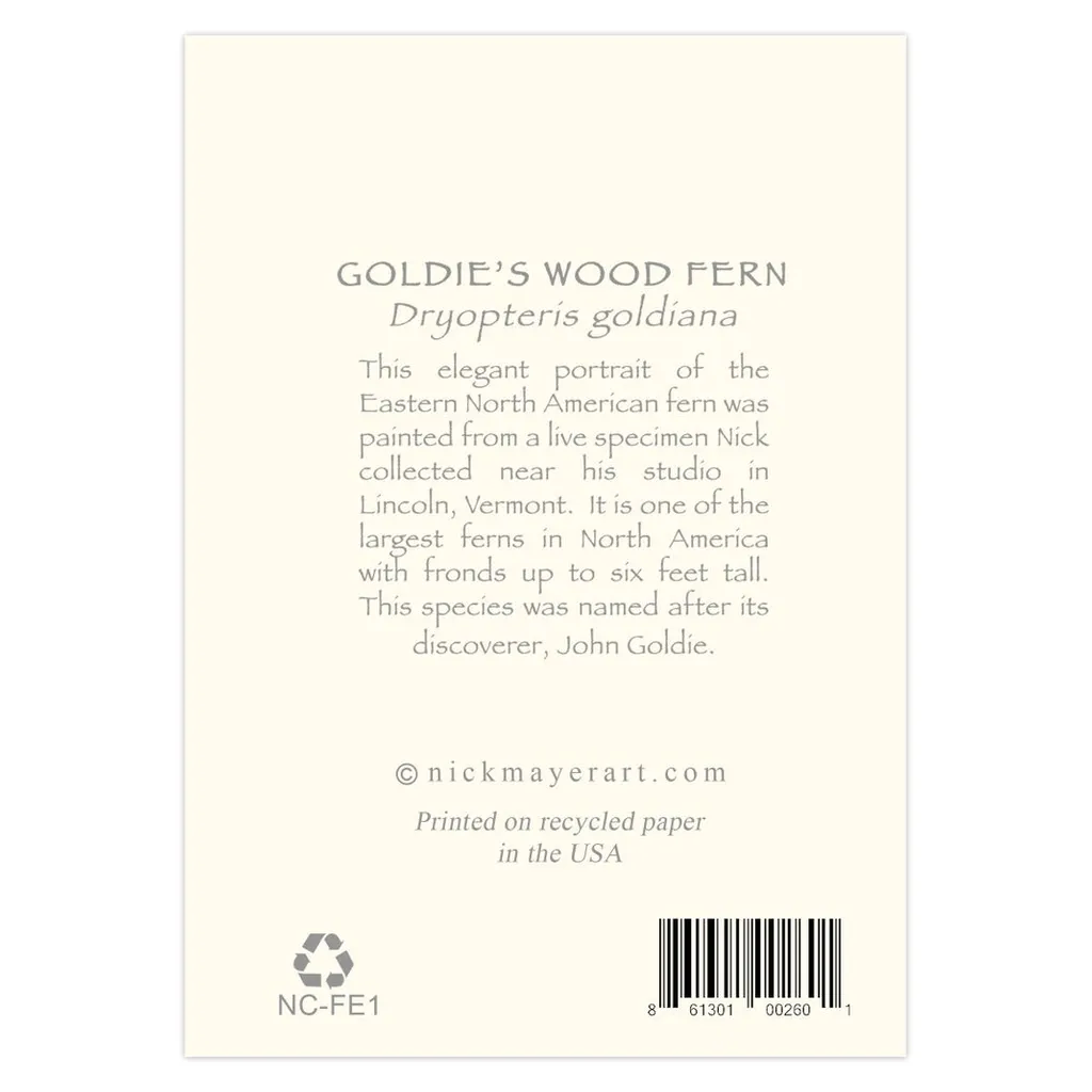 Goldie's Wood Fern Notecards