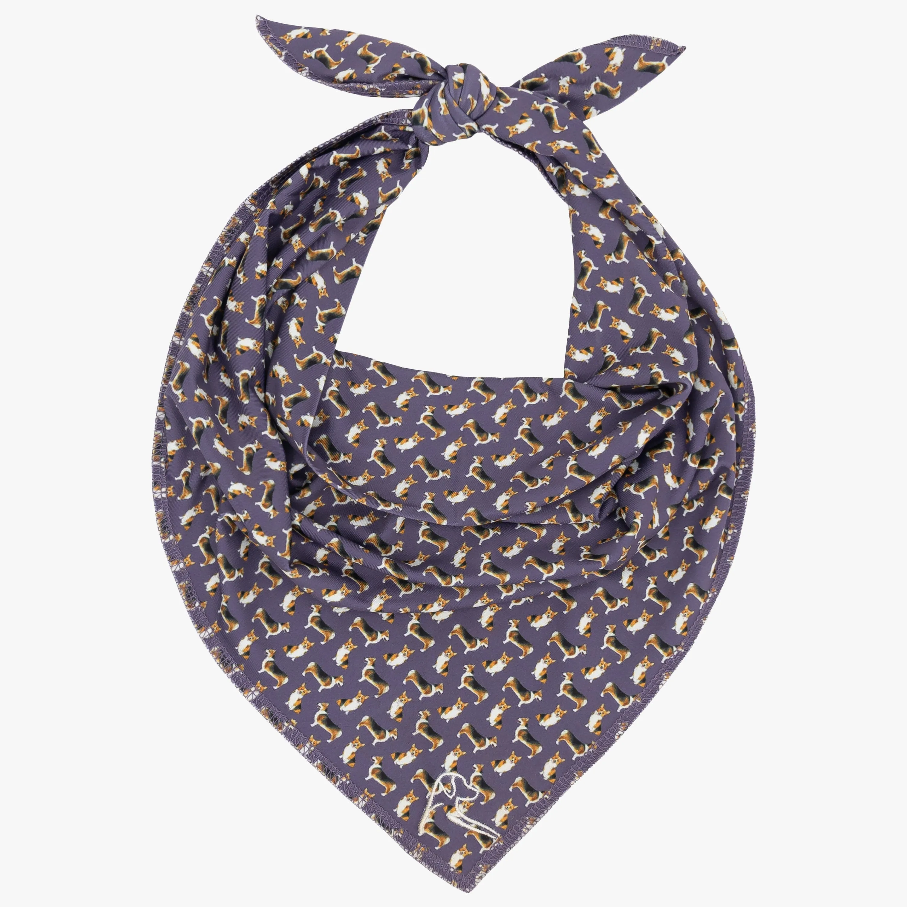 The Corgi | Performance Bandana | The Corgi - Aubergine